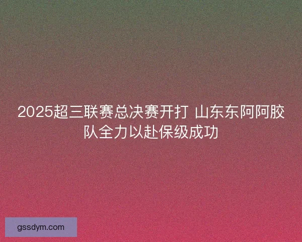 2025超三联赛总决赛开打 山东东阿阿胶队全力以赴保级成功
