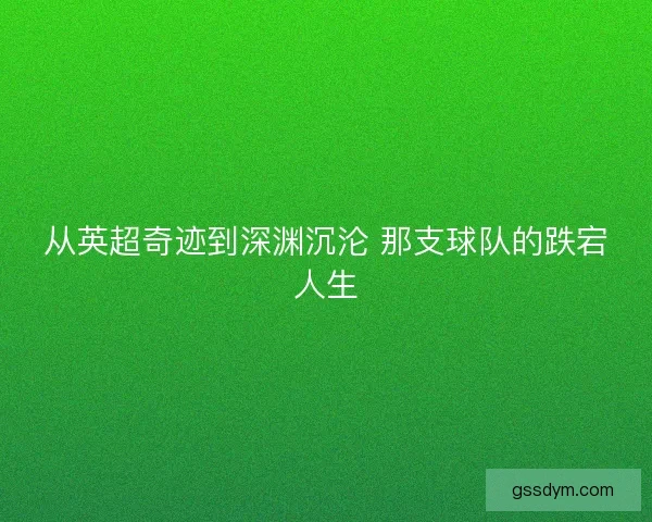 从英超奇迹到深渊沉沦 那支球队的跌宕人生